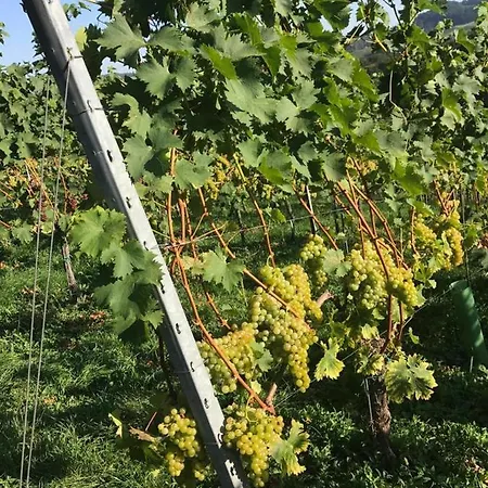 Landpension Gschwantner Πανσιόν