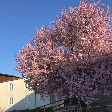 Πανσιόν Landpension Gschwantner 3*