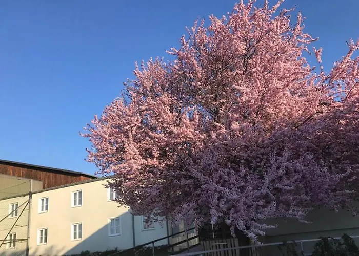 Pensión Landpension Gschwantner 3*